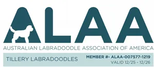 Australian Labradoodle Association of America member badge for Tillery Labradoodles, member ALAA-007577-1219